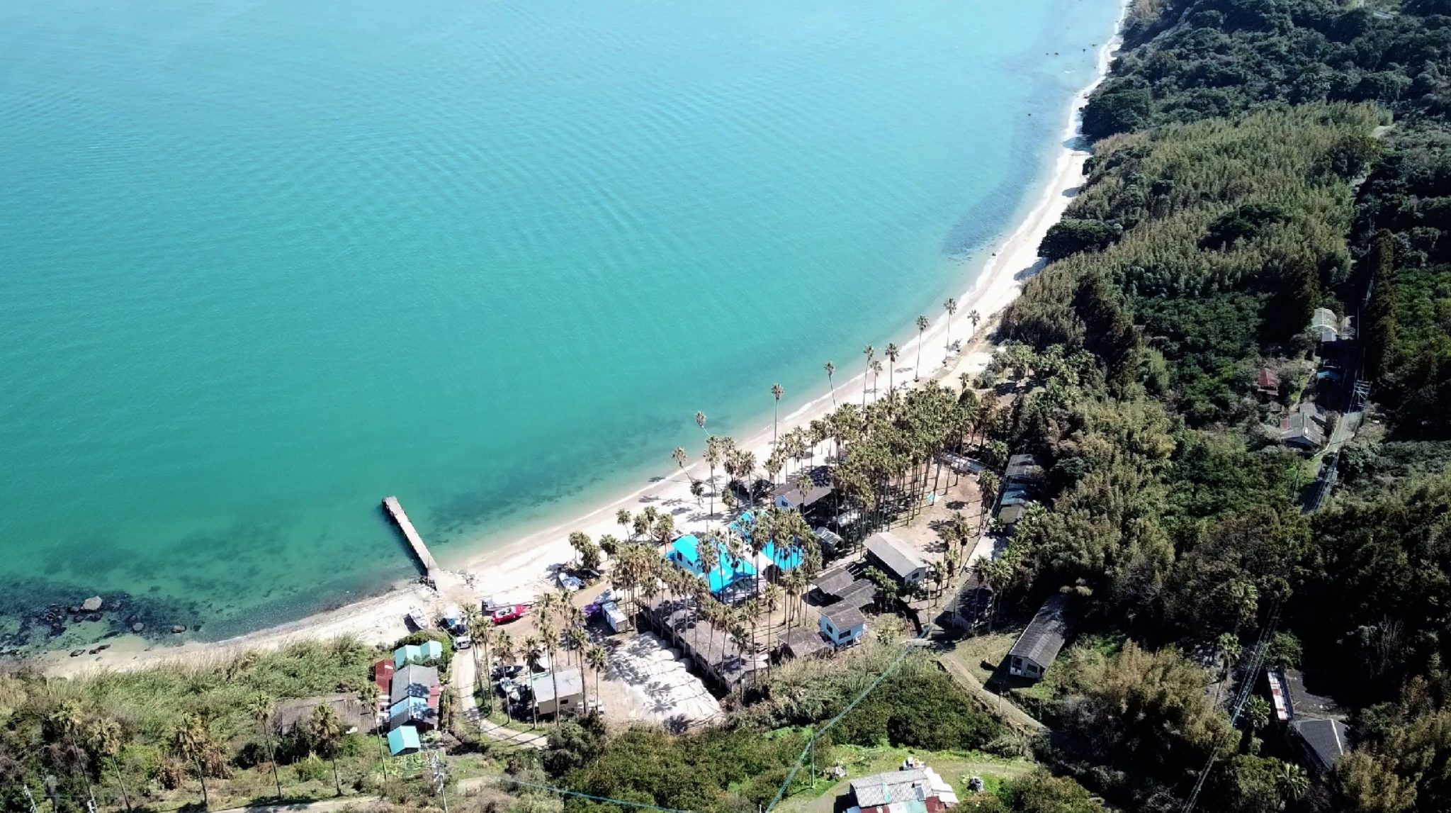 ミュージックライブ