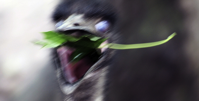 マジとバカなアイデアのピッチ大会「マジバカピッチ」が6月14日に福岡県Ruby・コンテンツ産業振興センターで！？