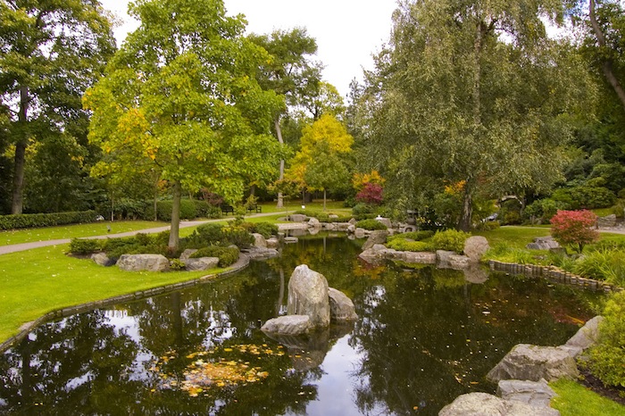 ゴノツクヒ：京都 x 福岡 オンライントーク 「地域振興とスタートアップ」